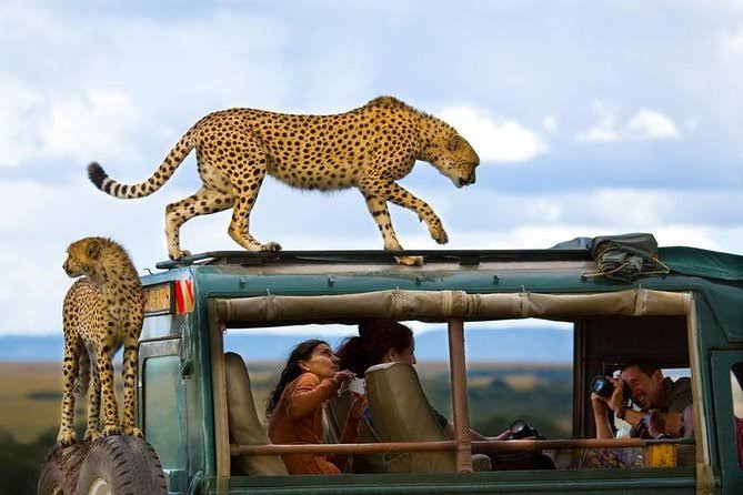 10 Days Safari and Indian Ocean Escape