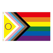 3x5 Ft LGBTQ Flag - Progress Pride Rainbow Flag | Outdoor Biseksueel LGBTQ  Niet-Binaire Lesbische Homo Transgender Prides Proculseksuele Vlaggen  Znet-au : Amazon.nl: Tuin, terras & gazon