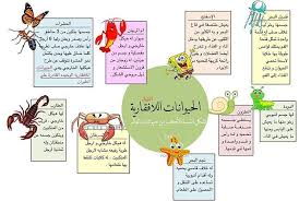 نتيجة بحث الصور عن تصنيف الحيوانات اللافقارية Math School Comics