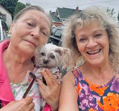 Chihuahua reunited with owner in Huron County