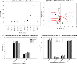 The Use Of Natural Media Amendments To Produce Kale Enhanced