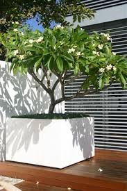 Extra Large Planters Large Outdoor Planters Outdoor Planter Boxes Large Backyard Landscaping