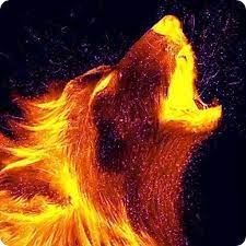 جميع الصور فيه حيث يمكنك تحميل الطبيعة او الافراح او الصحراء او الفضاء او حتى دورات المياه. Wolf Wallpapers And Backgrounds Ø§Ù„ØªØ·Ø¨ÙŠÙ‚Ø§Øª Ø¹Ù„Ù‰ Google Play