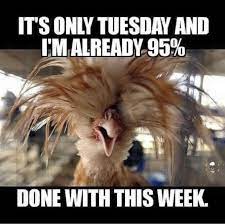 Work on a tuesday meme. Funny Memes About Tuesday