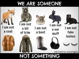 Being Chicy Is Anti Fur Pro Fake Fur Animal Rights Stop Animal Cruelty Animal Abuse