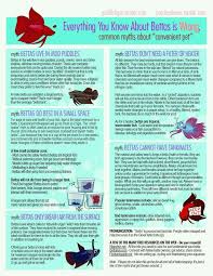 Betta Aquariumfreshwaterfishtips Betta Fish Tank Betta Betta Fish