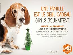 Samedi 9 Et Dimanche 10 Decembre La Spa Sera Presente Sur La Place De La Republique A Paris Pour Son Evenement Animaux Animaux Abandonnes Sauvez Les Animaux