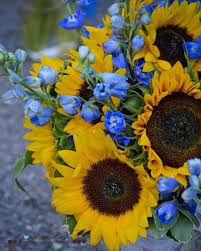 Bouquet sunflowers, bright crimson flowers, green leaves, yellow butterfly. Yellow Sunflowers Blue Delphinium Wedding Bouquet Sunflower Wedding Sunflower Wedding Decorations Sunflower Wedding Bouquet