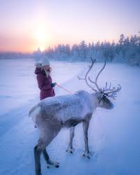 The Best Things To Do In Finland During The Winter Jess Wandering In 2020 Trips To Lapland Finland Travel Finland