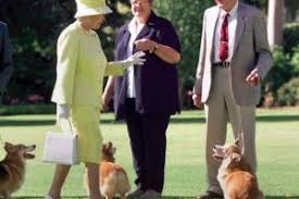 Can you find queen elizabeth in this sea of corgis? A Brit Uralkodo Utolso Corgi Kutyaja Is Elpusztult Kutyafajtak
