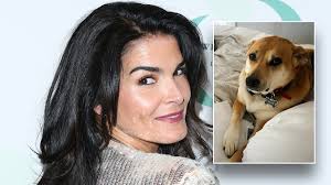 Angie Harmon was 'saved' by dog Lucy one year after her dog Oliver was  killed