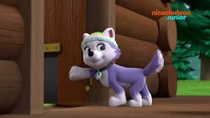 Paw patrol dessin anime pour les enfants youtube. Paw Patrol La Pat Patrouille Chez Everest Nickelodeon Junior Youtube