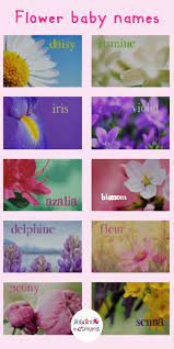 We have selected 25 most beautiful flowers and make a list. Flower Baby Names Baby Names Flowers Flower Names Pretty Flower Names