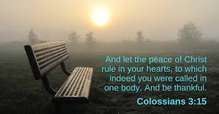 (15) but sanctify the lord god in your hearts. Daily Bible Verse Peace Colossians 3 15 Esv