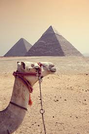 I am a teacher born and bred, and i believe in the advocacy of teachers. Original Egypt Egypt Travel Visit Egypt