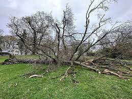 Hydroseeding Pittsburgh, PA | Pittsburgh Hydroseeding