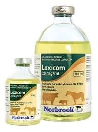 Loxicom 20mg Ml Solution For Injection For Cattle Pigs Pom