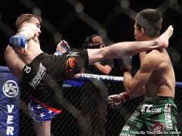 (다소 ufc) 정찬성 vs 댄이게. ì •ì°¬ì„± ë‚˜ë¬´ìœ„í‚¤