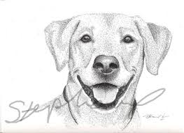 Disegni Da Colorare Animali Cani Immagini Cane Disegni Cane Disegni Foto Immagini Animali Immagini Disegni Da Colorare Disegni