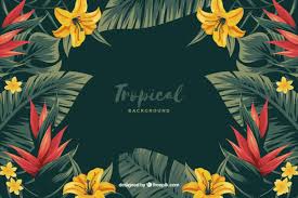 Download Tropical Flowers Background For Free Tropical Background Flower Backgrounds Tropical Flowers