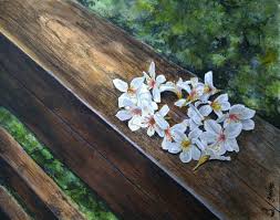 桐 tung watercolor plants color