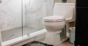 We did not find results for: 1 28 Gpf Vs 1 6 Gpf Toilets Pros Cons Examples Toilet Haven