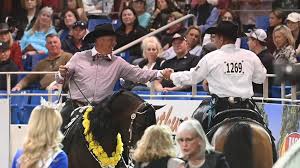 Arabian Horse Times added a new photo.