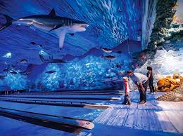 You Can Now Go Bowling At An Underwater Aquarium With Sea Turtles And Stingrays Uncle Buck Northern California Family Fun