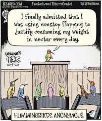 Bizarro For 12 4 2020 Bizarro Comic Comics Comics Kingdom