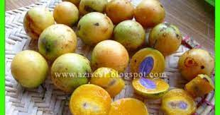 Nama Buah Buah Khas Banjarmasin Kalimantan Selatan Gandaria Buah Kalimantan Kesehatan