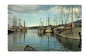 Image result for White 1972 Fleet