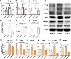 100% safe and virus free. Crataegus Pinnatifida Polysaccharide Alleviates Colitis Via Modulation Of Gut Microbiota And Scfas Metabolism Sciencedirect