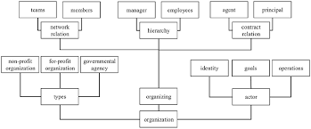 Sayings and Doings in Practices: Enhancing practice-driven institutionalism  with insights from the philosophy of embodiment