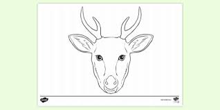Forest deer black and white illustration. Free Deer Head Colouring Page Colouring Pages