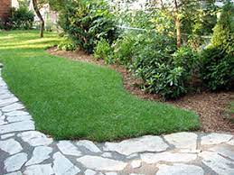 Maybe you would like to learn more about one of these? Landscape Design Royal Oak Michigan Domenico