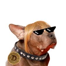 Check out this beautiful collection of 1080x1080 doge mod meme wallpapers, with 17 background images for your desktop and phone. Finn Adoptadogecoin Let S Send Dog Adoptions To The Moon