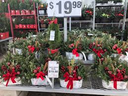 Home depot nursery editorial photography image of plants 53551947. Classic Home Garden Classichg Twitter