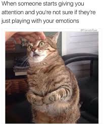 30 Animal Memes That Will Make You Laugh Until You Cry Funny Animal Memes Funny Cat Pictures Funny Cat Memes