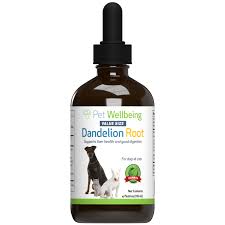 We did not find results for: Dandelion Root Digestive Liver Support For Dogs Pet Wellbeing