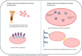 Image result for Platelet Dysfunction