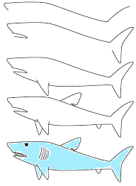 How to draw a shark easy. How To Draw Shark Step By Step Easy Drawing For Kids