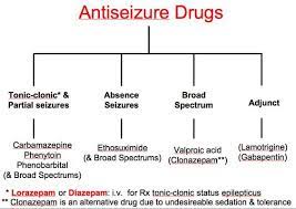 Seizure Disorders References Seizures Nursing Pharmacology Nursing Nursing School Studying