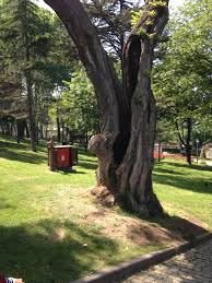 gulhane parki cankurtaran fatih istanbul scenic views scenic istanbul