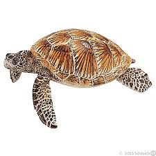 Item Page Schleich Toys Animals Website Turtle Sea Turtle Turtle Figurines
