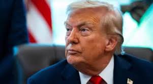 Commentaries Archive