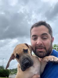 Hello!? Can Morris come out to play!?