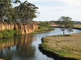 images?q=tbn:ANd9GcTI12i_xHH_scMO9S1eJLg