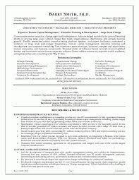 Executive Resume Writing Service Executive Resume Writing Services