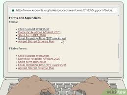 _____ print and complete this worksheet to facilitate discussion and development of a parenting plan. 3 Ways To File For Child Custody In Kansas Wikihow