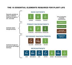 The three most important of these macronutrients are nitrogen … Growing Green On The Red Planet American Chemical Society